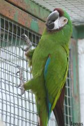 Solinger Vogel- und Tierpark