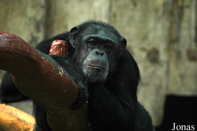 Krefelder Zoo