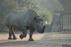 Krefelder Zoo