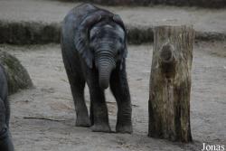 Zoo Wuppertal