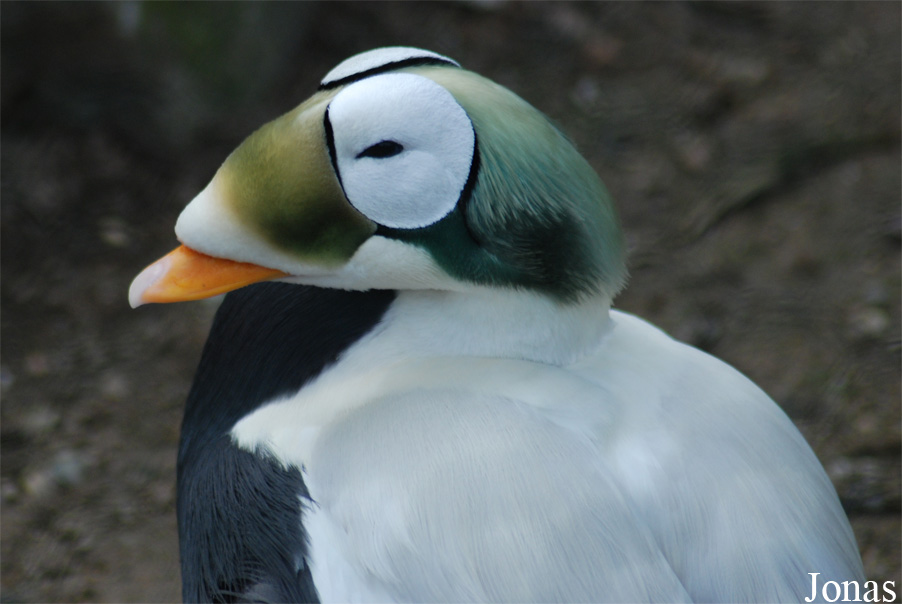 Zoo Wuppertal