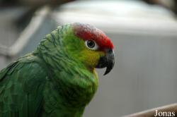 Zoo Landau in der Pfalz