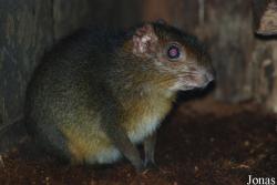 Zoo Wuppertal