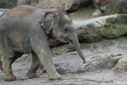 Dierenpark Emmen