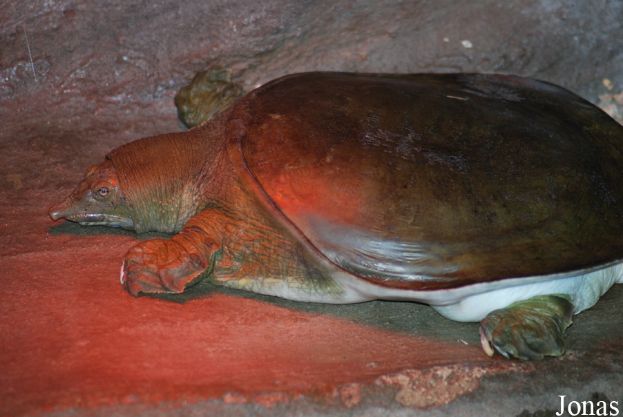 Zoologická zahrada Ústí nad Labem