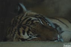Zoologická zahrada Ústí nad Labem