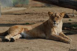 Zoologická zahrada Ústí nad Labem