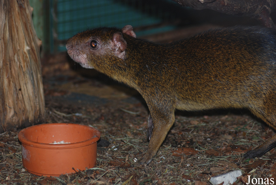 Zoologická zahrada Ústí nad Labem