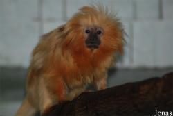 Zoologická zahrada Ústí nad Labem