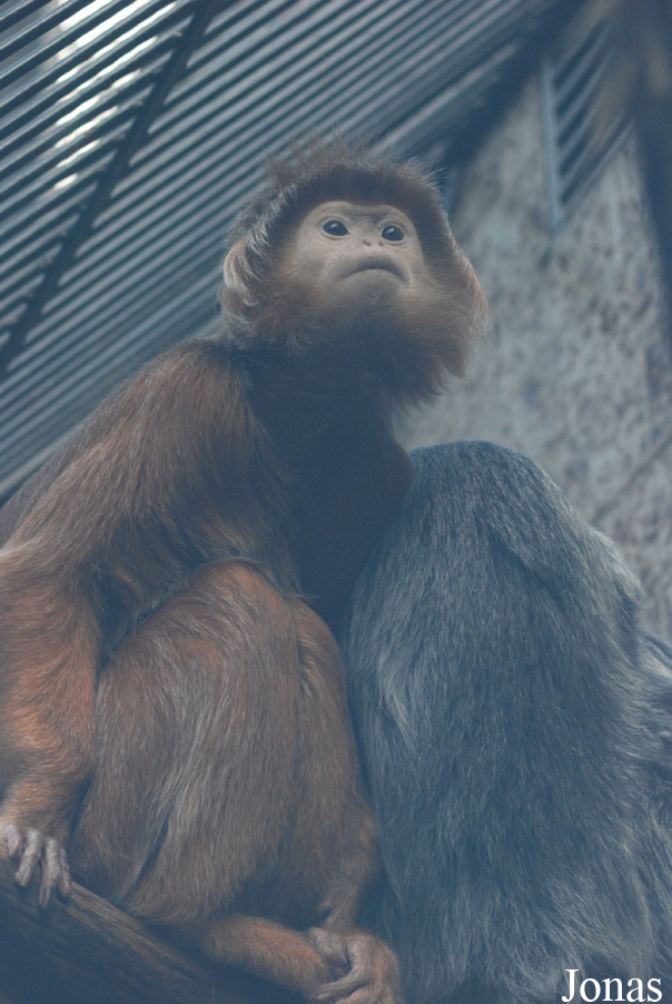 Zoologická zahrada Ústí nad Labem