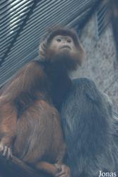 Zoologická zahrada Ústí nad Labem