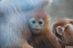 Zoologická zahrada Ústí nad Labem