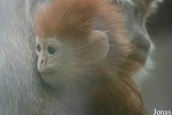 Zoologická zahrada Ústí nad Labem