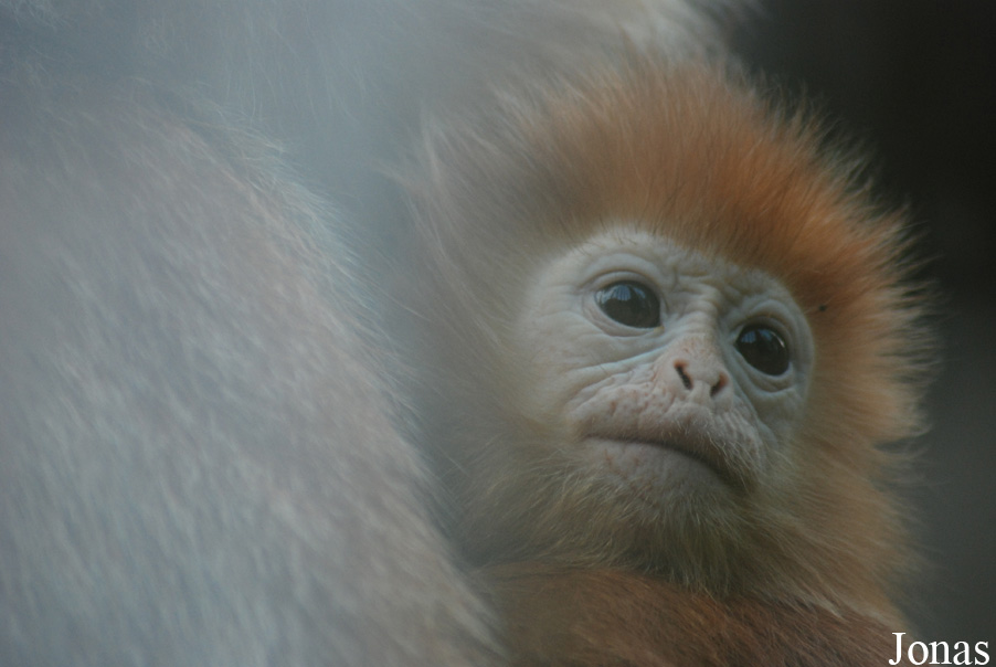 Zoologická zahrada Ústí nad Labem
