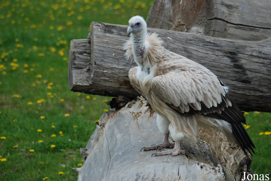 Zoologická zahrada Ústí nad Labem