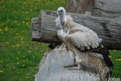 Zoologická zahrada Ústí nad Labem