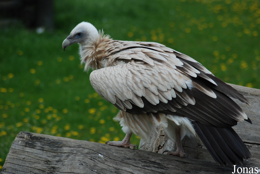 Zoologická zahrada Ústí nad Labem