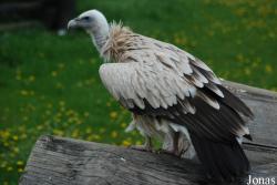 Zoologická zahrada Ústí nad Labem