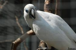 Zoo Děčín