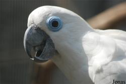 Zoo Děčín