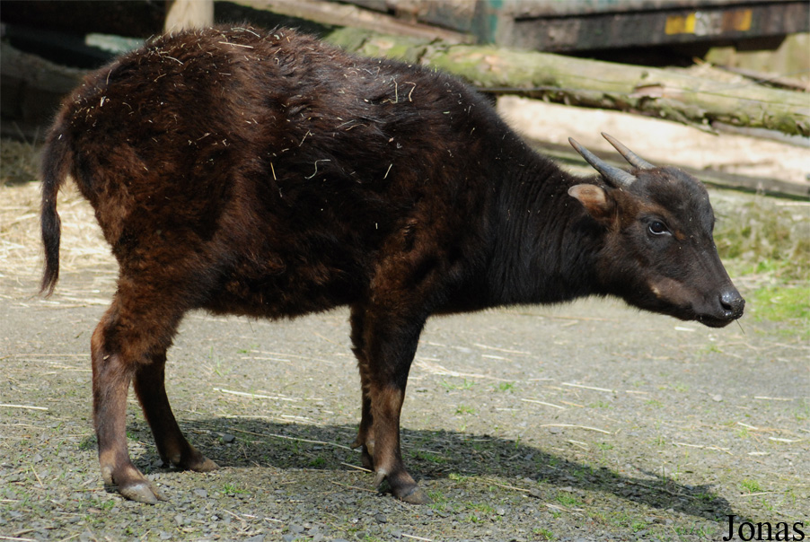 Zoo Děčín