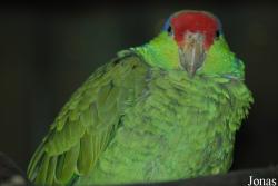 Zoologická zahrada Liberec
