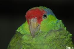 Zoologická zahrada Liberec