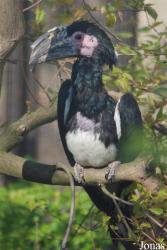 Zoo Dvůr Králové
