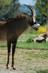 Zoo Dvůr Králové