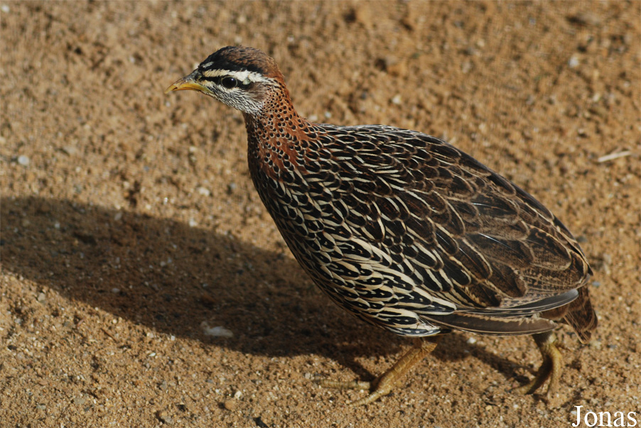 Zoom Erlebniswelt
