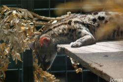 Zoo Dortmund