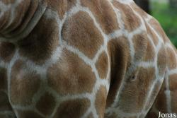 Zoo Dortmund