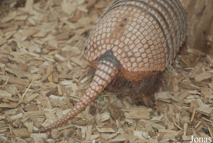 Zoo Dortmund