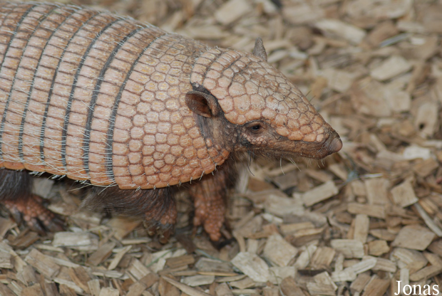 Zoo Dortmund