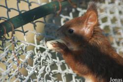 Grădina Zoologică Râmnicu Vâlcea