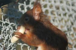 Grădina Zoologică Râmnicu Vâlcea