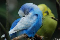 Zoo Hof