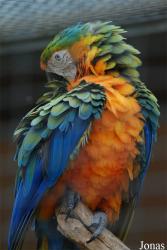 Zoo Hof