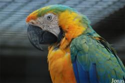 Zoo Hof