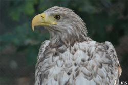Ogród Fauny Polskiej Zoo
