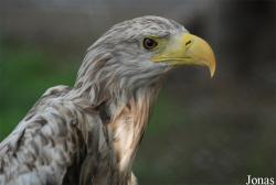 Ogród Fauny Polskiej Zoo