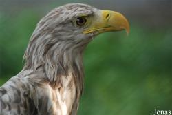 Ogród Fauny Polskiej Zoo
