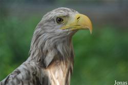 Ogród Fauny Polskiej Zoo