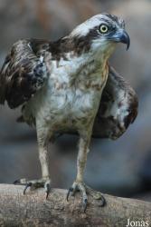 Miejski Ogród Zoologiczny we Wrocławiu