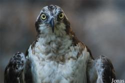 Miejski Ogród Zoologiczny we Wrocławiu