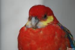 Miejski Ogród Zoologiczny we Wrocławiu
