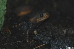 Miejski Ogród Zoologiczny we Wrocławiu