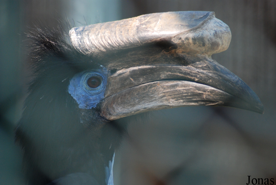 Jardin d'Oiseaux Tropicaux