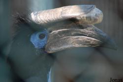 Jardin d'Oiseaux Tropicaux