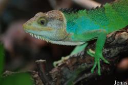 Allwetterzoo Münster
